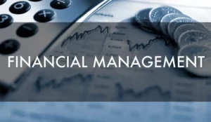 Financial Management: Roles and Responsibilities